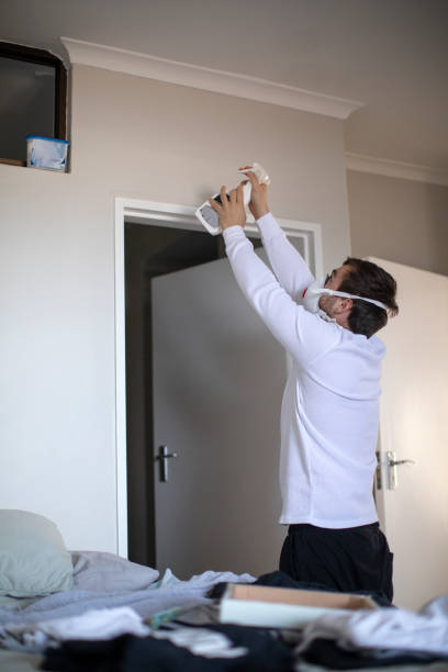 Best Real Estate Mold Inspection  in Georgetown, CO