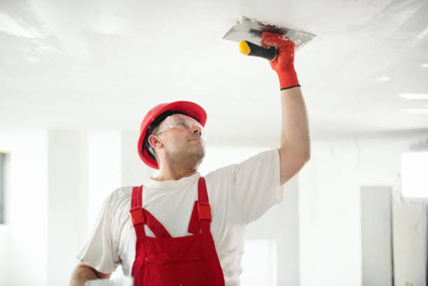 Best Mold-Related Health Consultation  in Georgetown, CO