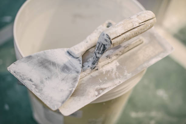 Best Forensic Mold Investigation  in Georgetown, CO