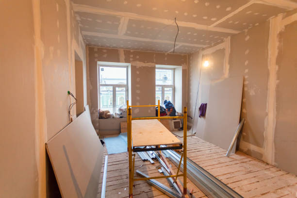 Best Emergency Mold Remediation  in Georgetown, CO