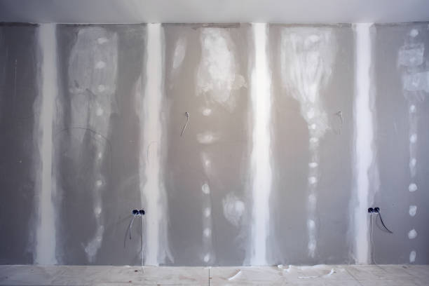 Best Attic Mold Removal  in Georgetown, CO